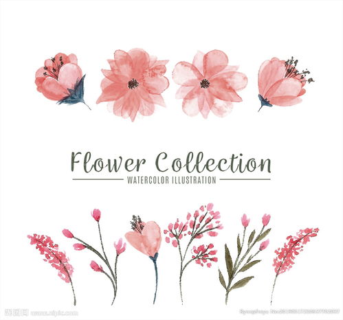 水彩绘粉色花卉图片